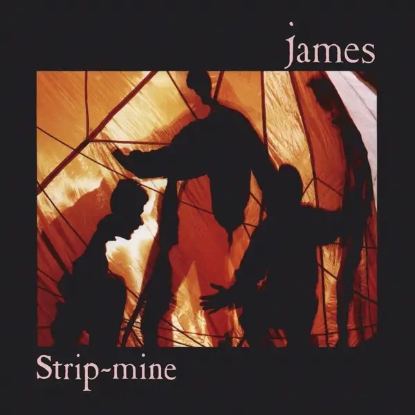Album artwork for Strip Mine by James
