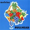 Album Artwork für Bullhead von Melvins