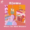 Album artwork for Where The Mind Wanders by Slowe