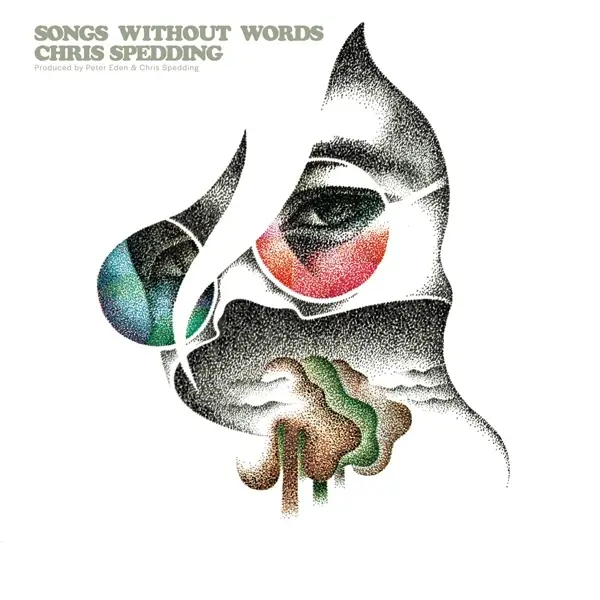Album artwork for Songs Without Words - Remastered CD Edition by Chris Spedding