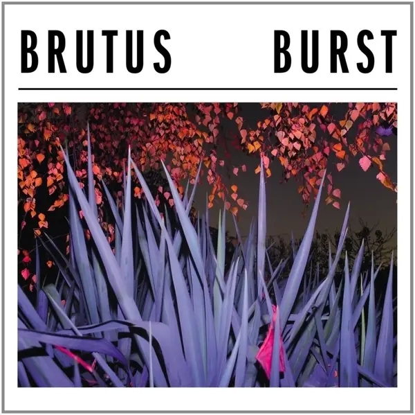 Album artwork for Burst by Brutus