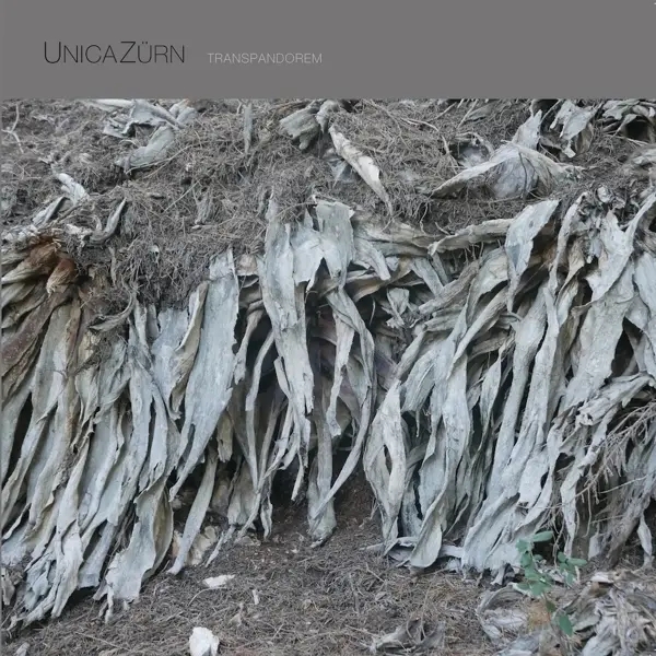 Album artwork for Transpandorem by Unicazurn