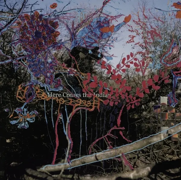 Album artwork for Here Comes The Indian by Animal Collective
