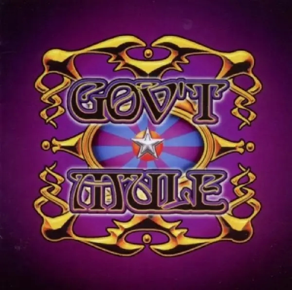 Album artwork for Live With A Little Help From My Friends by Gov't Mule