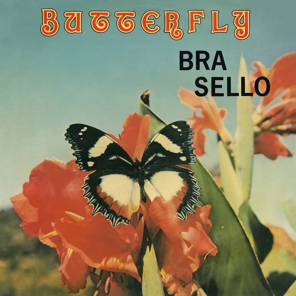 Album artwork for Butterfly by Bra Sello
