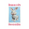 Illustration de lalbum pour Bunny par Beach Fossils