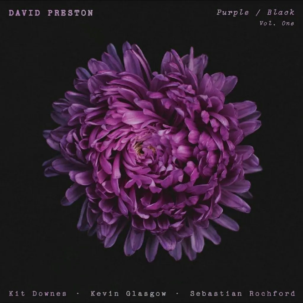 Album artwork for Purple / Black Vol.1 by David Preston