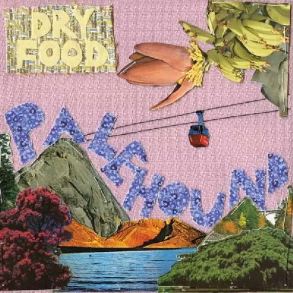 Album artwork for Dry Food by Palehound