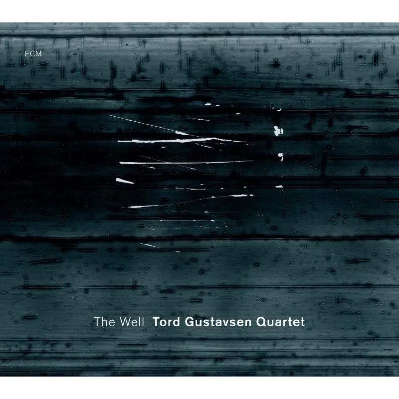 Album artwork for The Well by Tord Gustavsen Quartet