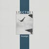 Album artwork for Nostalgia by Spectres