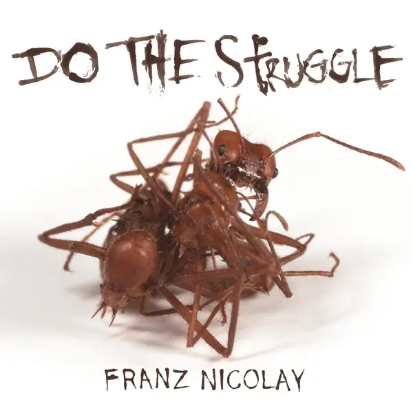 Album artwork for Do The Struggle by Franz Nicolay