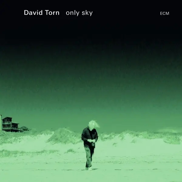 Album artwork for Only Sky by David Torn