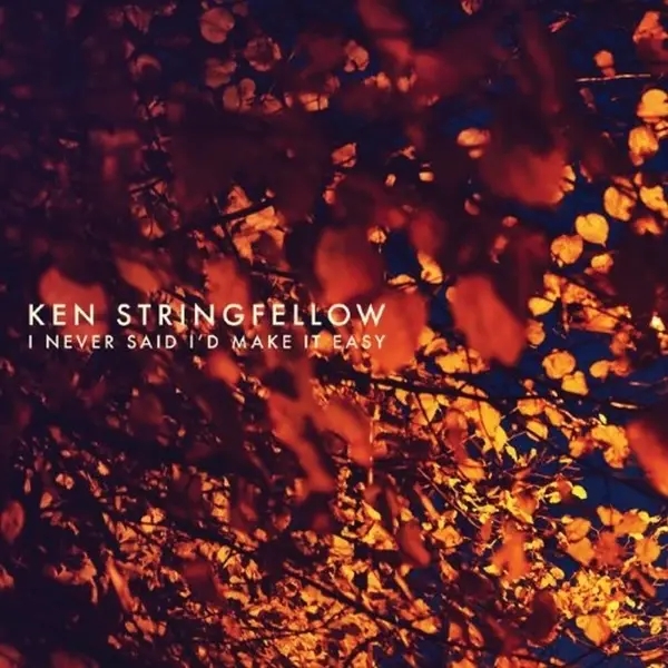 Album artwork for I Never Said I'd Make It Easy by Ken Stringfellow