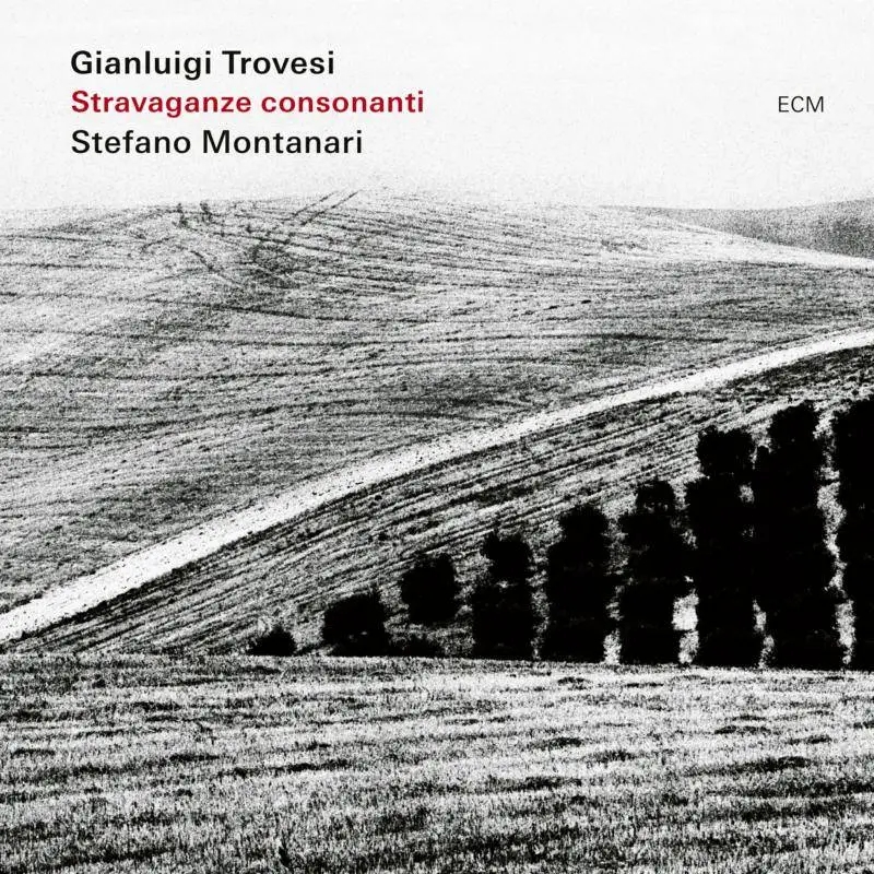 Album artwork for Stravaganze Consonanti by Gianluigi Trovesi