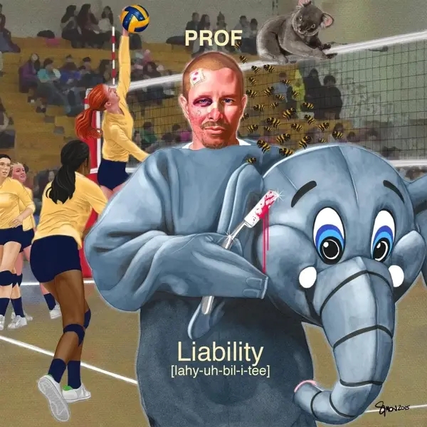 Album artwork for Liability by Prof