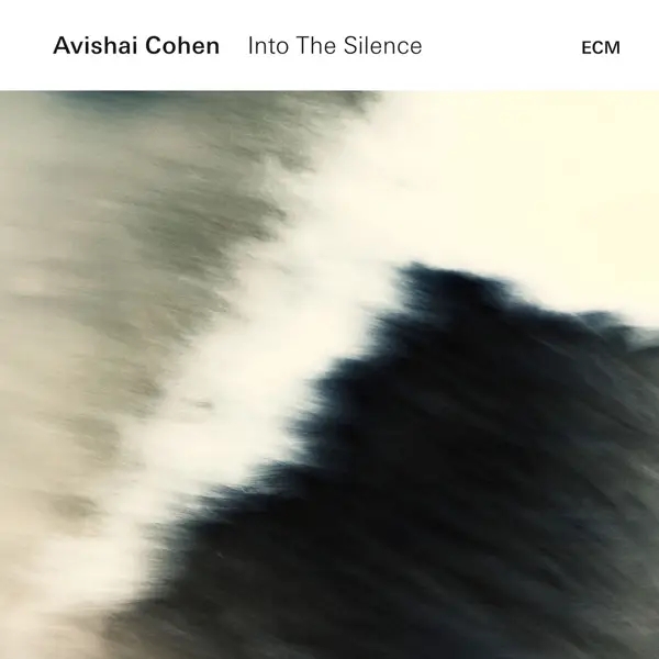 Album artwork for Into The Silence by Avishai Cohen