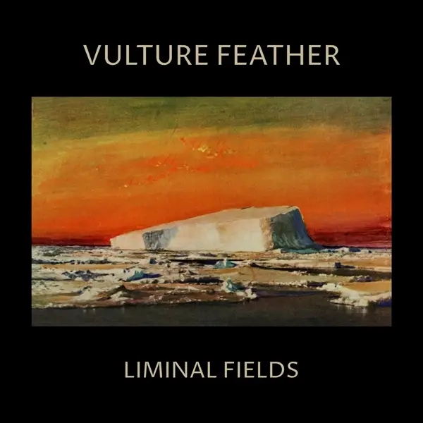 Album artwork for LIMINAL FIELDS by Vulture Feather