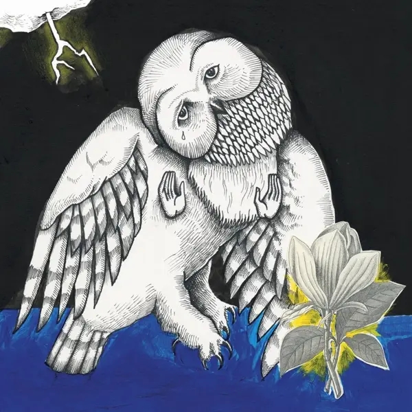 Album artwork for Magnolia Electric Co. by Songs:Ohia