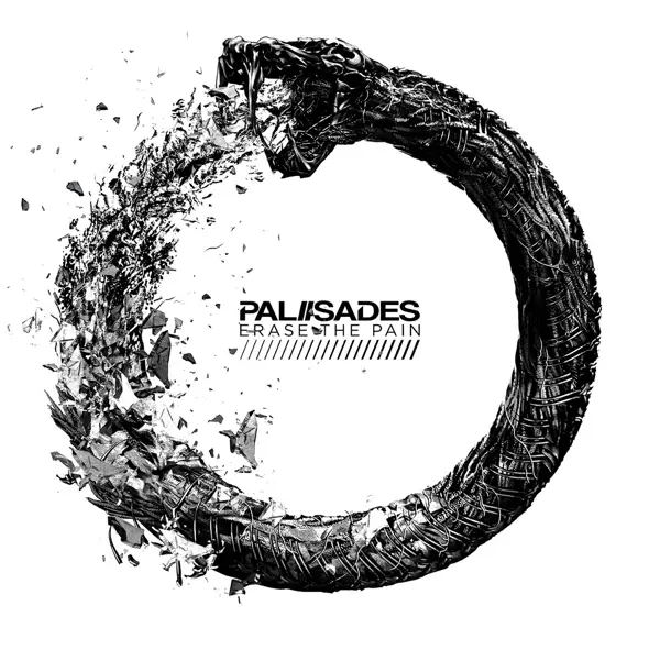 Album artwork for Erase The Pain by Palisades