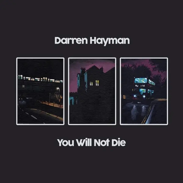 Album artwork for You Will Not Die by Darren Hayman