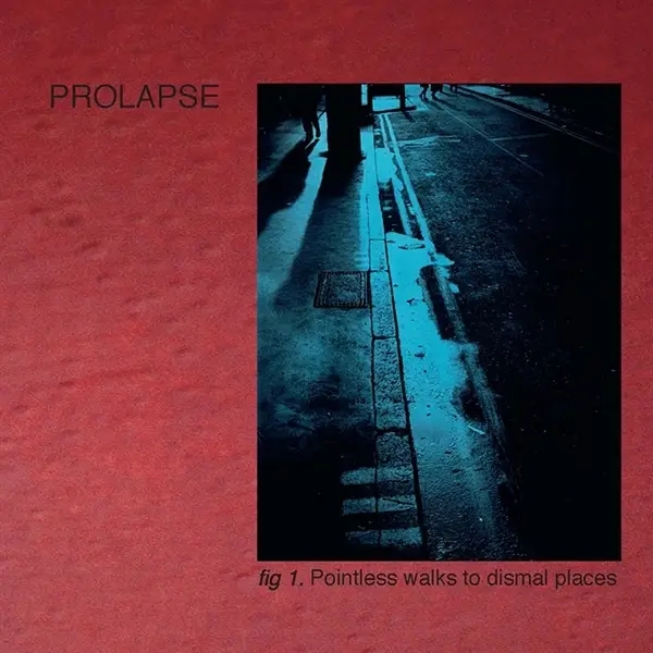 Album artwork for Pointless Walks To Dismal Places by Prolapse