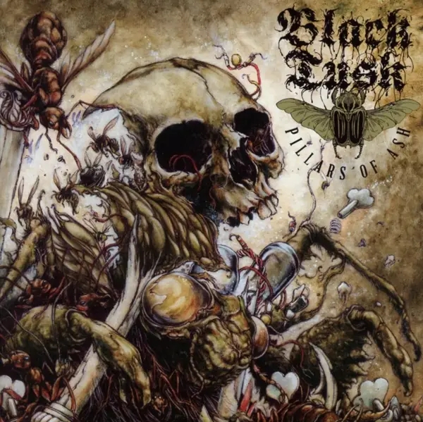 Album artwork for Pillars Of Ash by Black Tusk