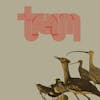 Album artwork for Traum by Traum