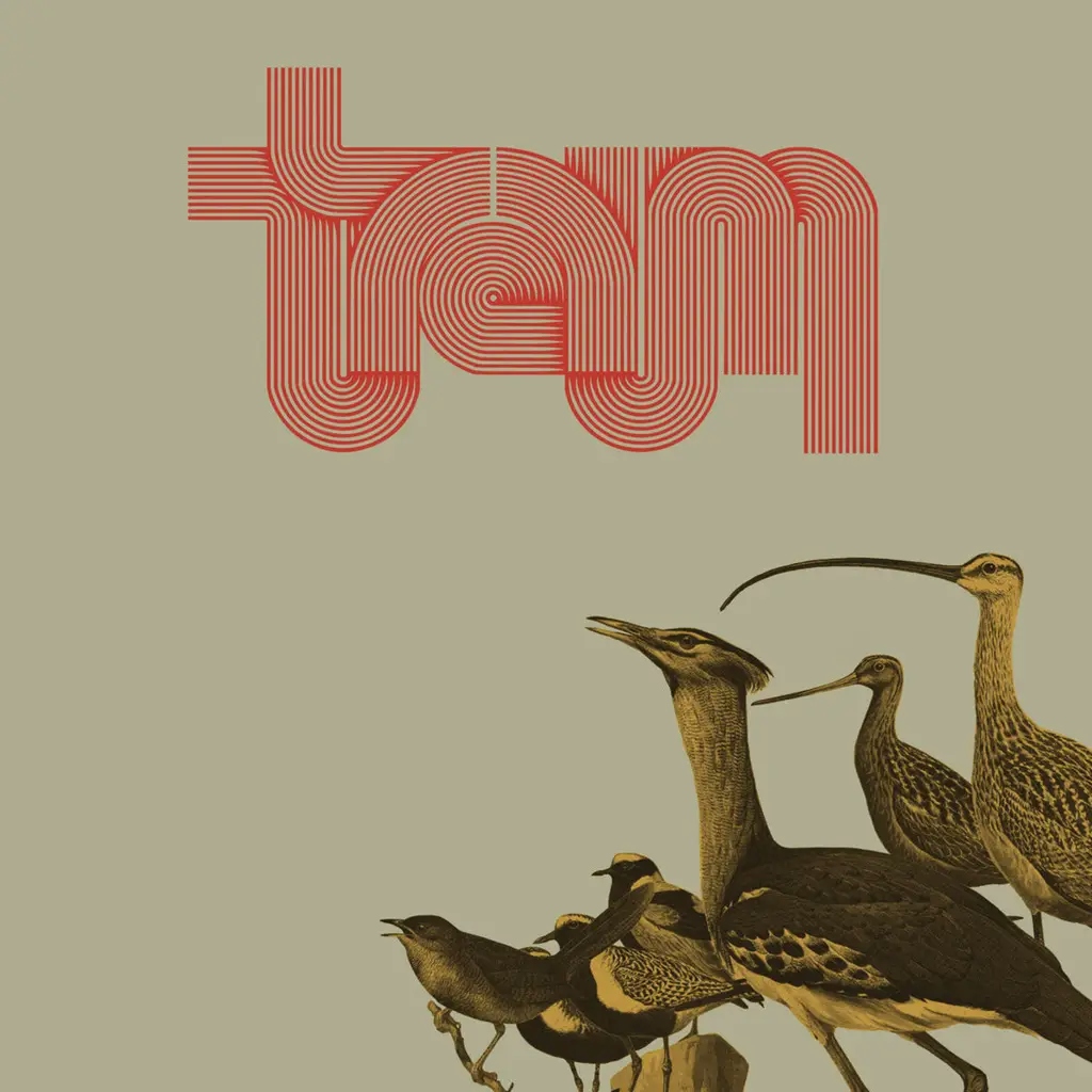 Album artwork for Traum by Traum