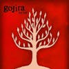 Album artwork for The Link by Gojira