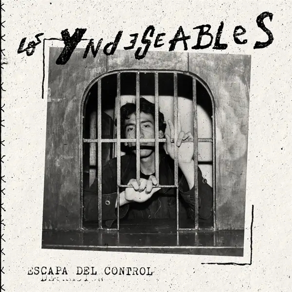 Album artwork for El Perfecto Ruido by Los Yndeseables