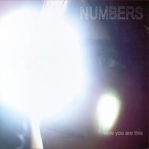 Album artwork for Now You Are This by Numbers