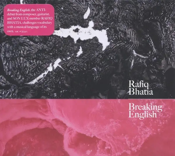 Album artwork for Breaking English by Rafiq Bhatia