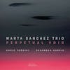 Album artwork for Perpetual Void by Marta Sanchez Trio
