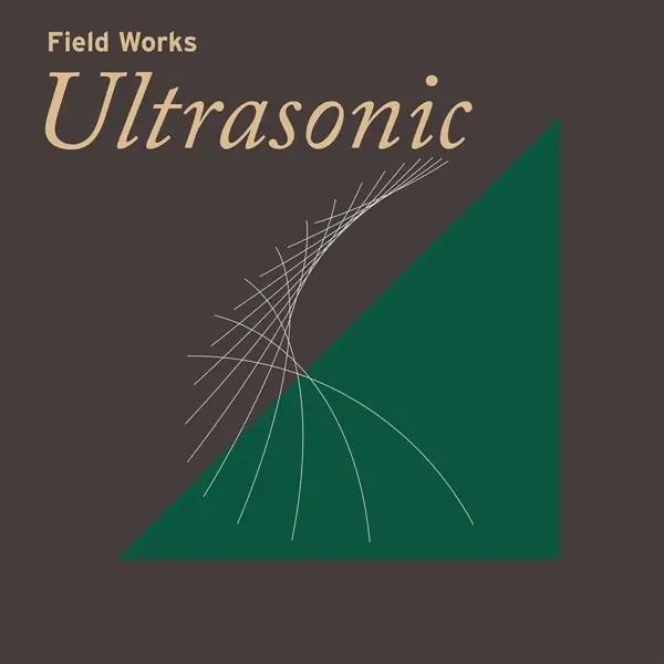 Album artwork for Field Works: Ultrasonic by Various