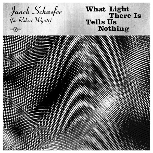 Album artwork for What Light There Is Tells Us Nothing by Janek Schaefer (For Robert Wyatt)