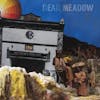 Album Artwork für The Nothing They Need von Dead Meadow