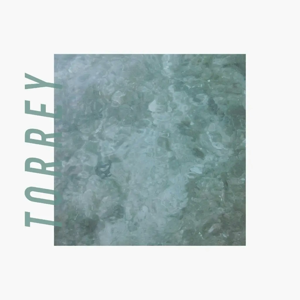 Album artwork for Torrey by Torrey