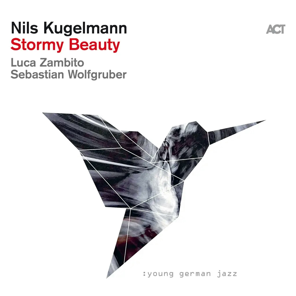 Album artwork for Stormy Beauty by Nils Kugelmann