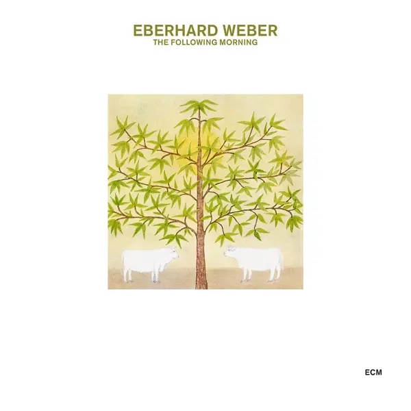 Album artwork for The Following Morning by Eberhard Weber