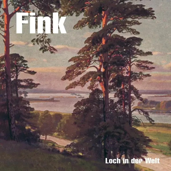 Album artwork for Loch in der Welt by Fink