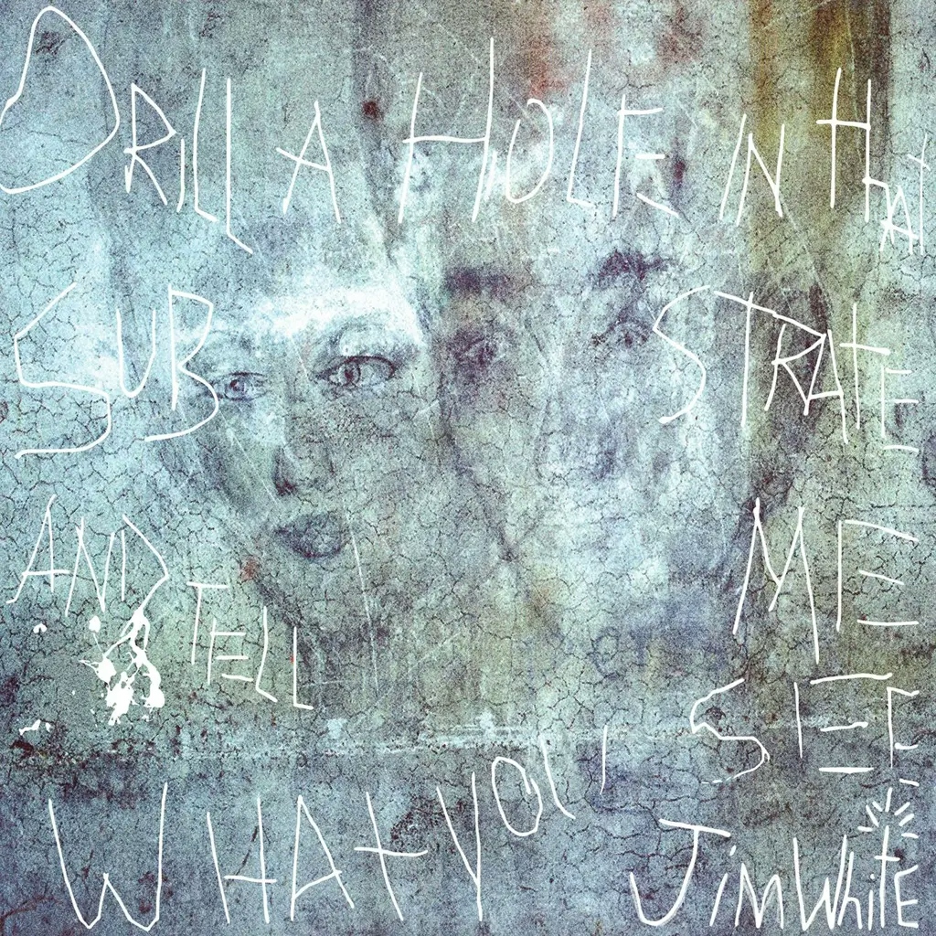 Album artwork for Drill a Hole in That Substrate and Tell Me What You See by Jim White