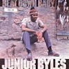 Album Artwork für Beat Down Babylon von Junior Byles