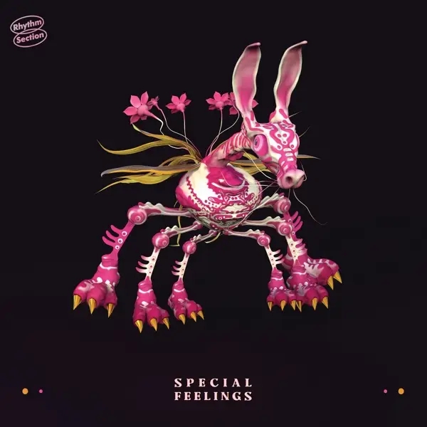 Album artwork for Special Feelings by Band