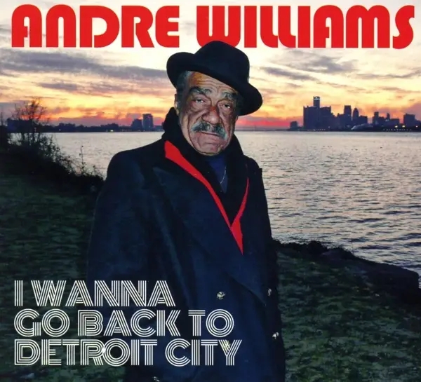 Album artwork for I Wanna Go Back To Detroit City by Andre Williams