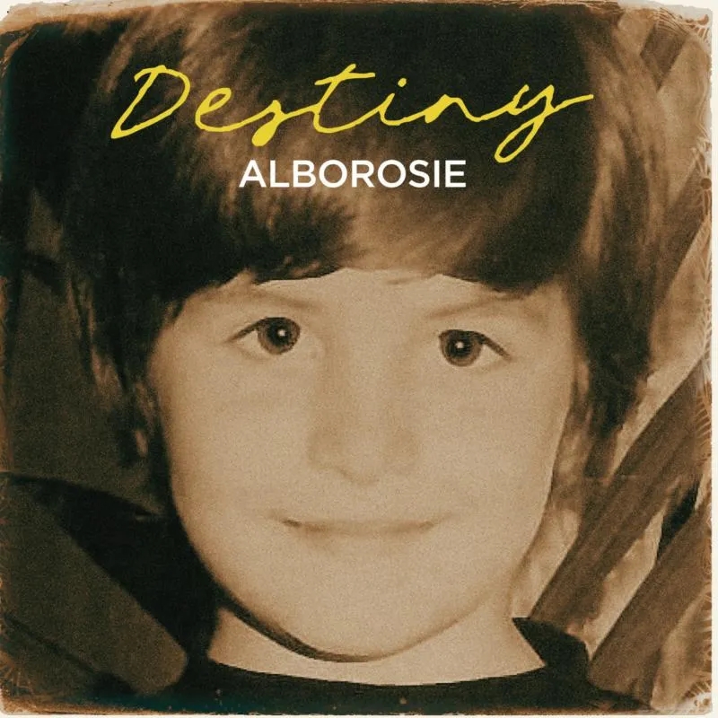 Album artwork for Destiny by Alborosie