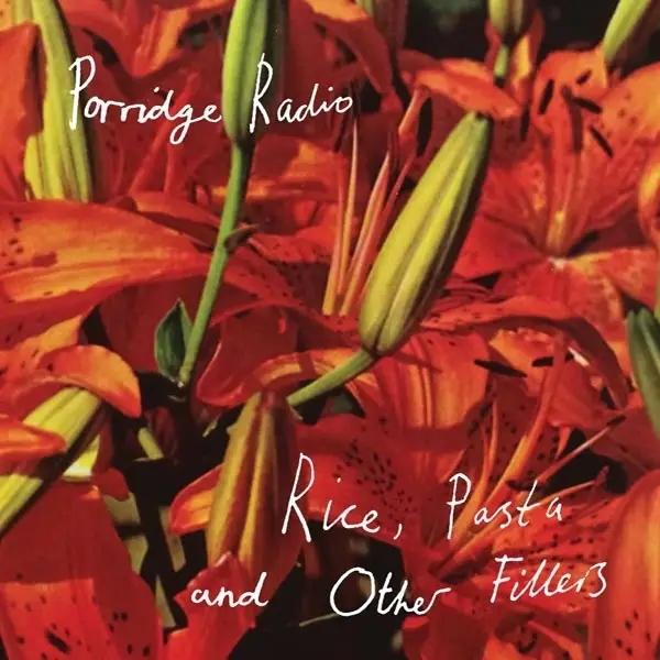Album artwork for Rice,Pasta And Other Fillers by Porridge Radio