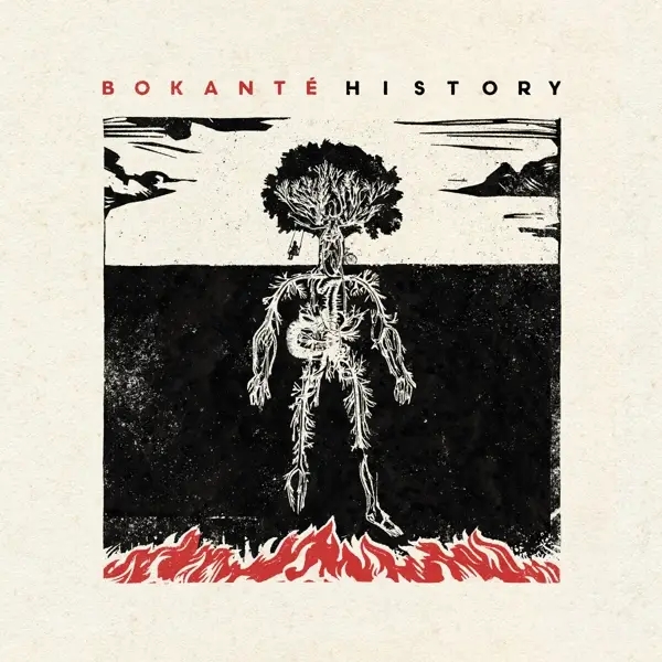 Album artwork for History by Bokanté