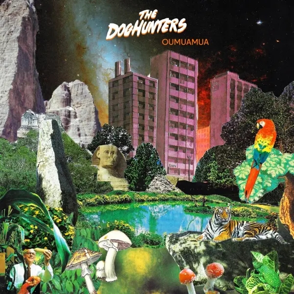 Album artwork for Oumuamua by The Doghunters