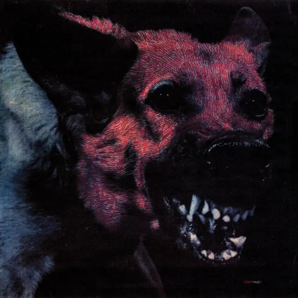 Album artwork for Under Color Of Official Right by Protomartyr