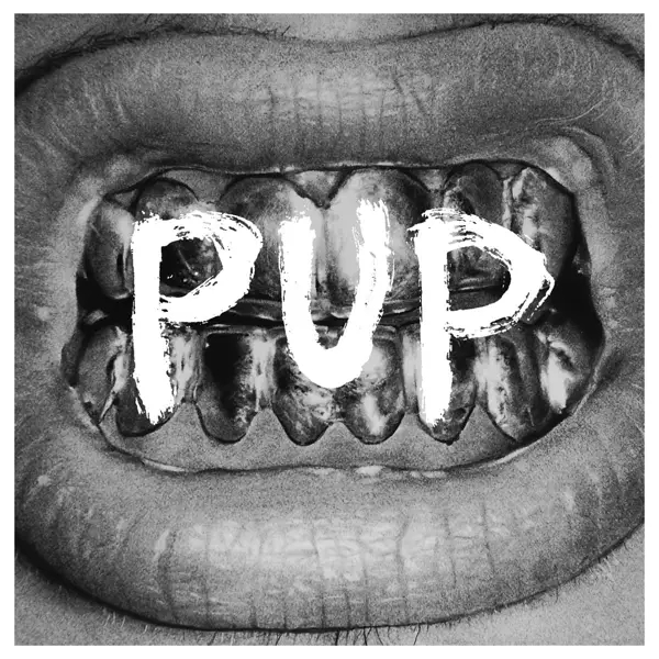 Album artwork for Pup by Pup